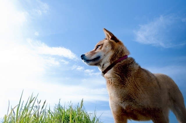 1195070_s.jpg